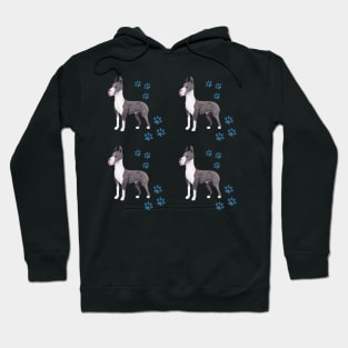 Great Dane dog pattern Hoodie